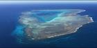 Fitzroy Reef - QLD (PBH4 00 18388)